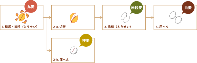 1. 精選・搗精 丸麦 2-a. 切断 2-b. 圧ぺん 押麦 3. 搗精 米粒麦 4. 圧ぺん 白麦