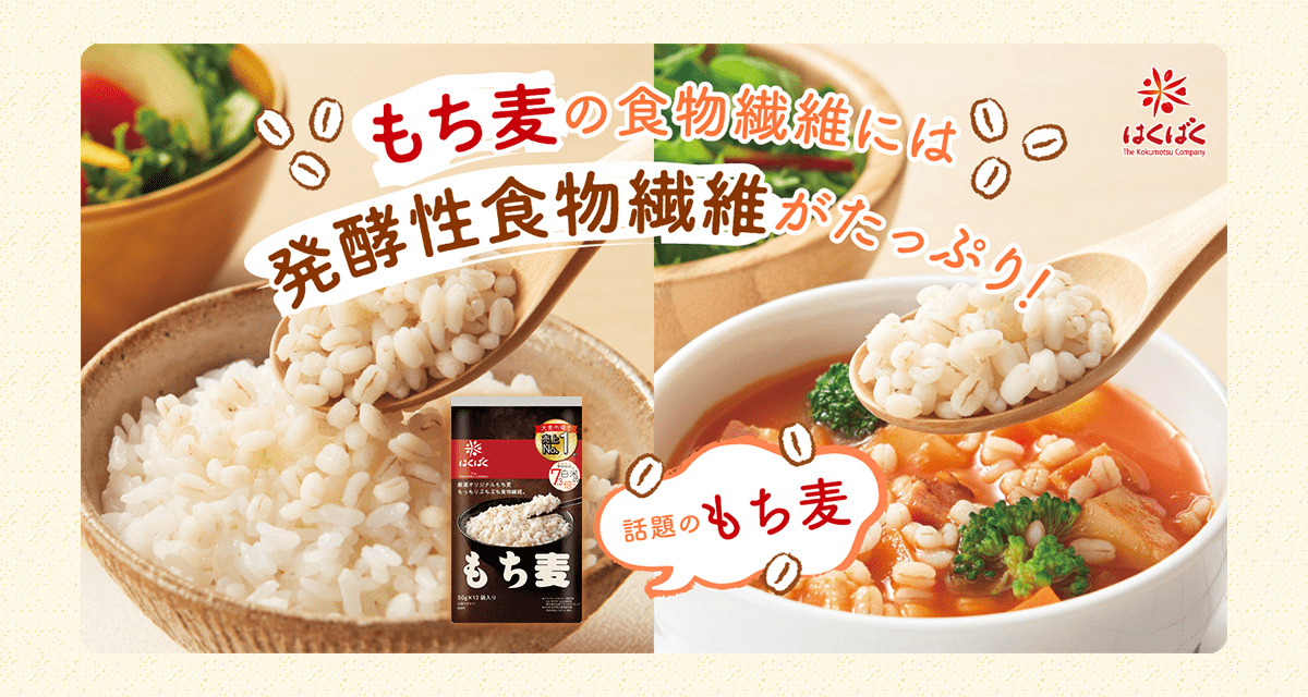 もち麦の食物繊維には発酵性食物繊維がたっぷり！