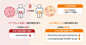 大麦摂取がヒト腸内環境に与える影響の図