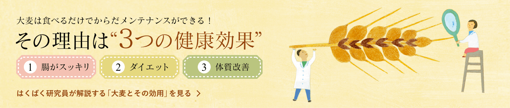 大麦は食べるだけでからだメンテナンスができる！その理由は“3つの健康効果” 1.腸がスッキリ 2.ダイエット 3.体質改善　はくばく研究員が解説する「大麦とその効用」ページへ移動します。