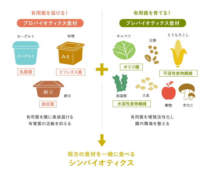 シンバイオティクスの説明図。プロバイオティクス食材とプレバイオティクス食材をあわせて摂るのが、シンバイオティクスという食べ方。プロバイオティクス食材には、ヨーグルト、味噌、納豆などがあり、有用菌を腸に直接届けたり、有害菌の活動を抑えたりする。 プレバイオティクス食材には、大麦、キャベツ、豆類、とうもろこし、海藻類、果物、きのこなどがあり、有用菌である善玉菌を増殖活性化して、腸内環境を整える。