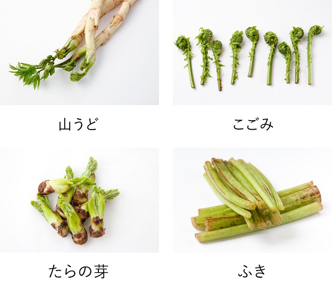 冬のからだをリセットするために 春の苦みを盛れ 食べるからだメンテナンス おいしい大麦研究所